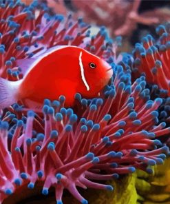 Red Fish Between Anemones paint by Numbers