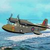 Royal Navy Seaplane paint by numbers