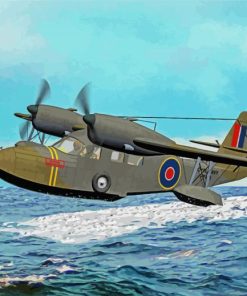 Royal Navy Seaplane paint by numbers