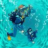 Scuba Diver Underwater paint by numbers