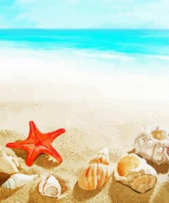 Seashells Starfish Summer paint by numbers