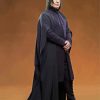 Professor Severus Snape Character paint by numbers