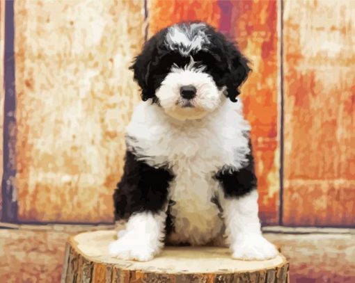 Adorable Sheepadoodle Puppy Dog paint byb numbers