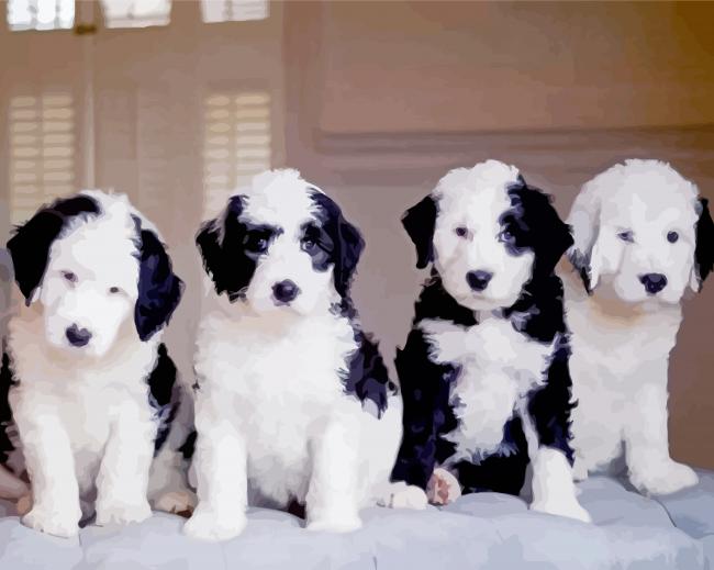 Sheepadoodles Puppies Dogs paint by numbers