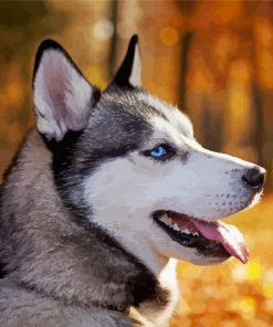 Siberian Husky Side Profile paint by numbers