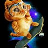 Skater Cat Animation paint by numbers