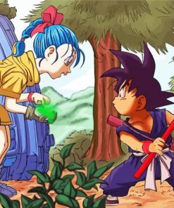 Son Goku And Bulma paint by numbers