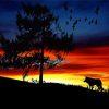 Sunset Wolf paint by numbers