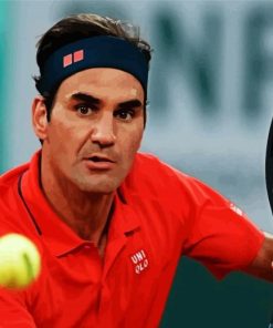 The Tennis Player Roger Federer paint by numbers