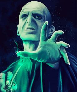 Voldemort Illustration paint by numbers