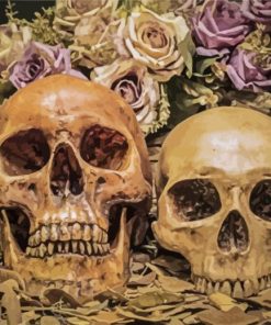 Vintage Skulls paint by numbers