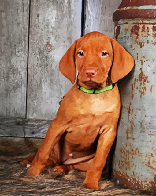 Vizsla Puppy Dog paint by numbers