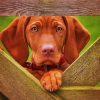 Brown Vizsla Dog paint by numbers