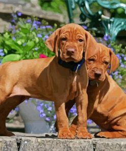 Adorable Vizsla Puppies Dogs paint by numbers