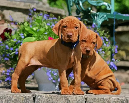 Adorable Vizsla Puppies Dogs paint by numbers