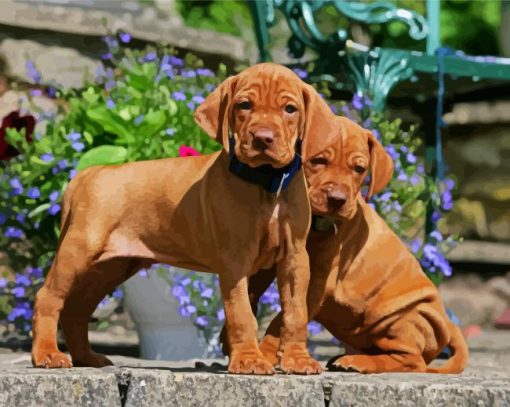 Adorable Vizsla Puppies paint by numbers