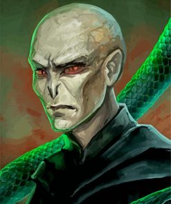 Voldemort Character Illustration paint by numbers