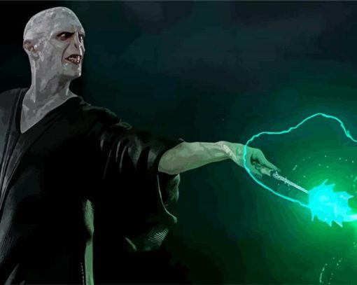 Voldemort Character paint by numbers