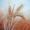 Wheat Stalk paint by numbers