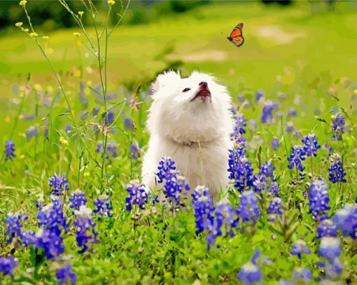 White Dog Watching Butterfly paint by numbers