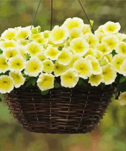 Yellow Petunia In Basket paint by numbers
