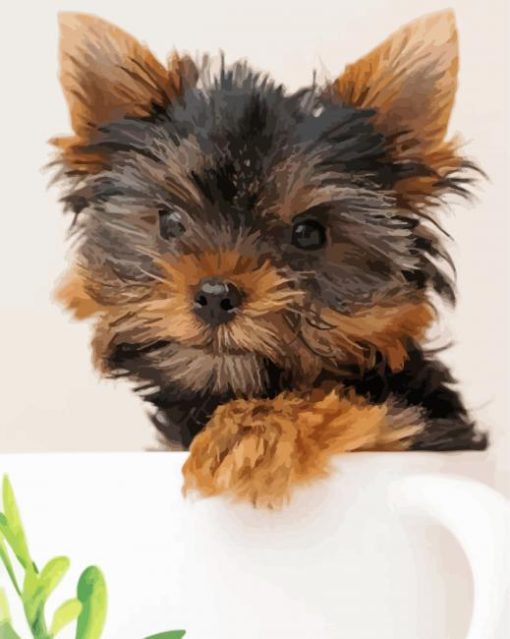 Yorkie Puppy Dog paint by numbers