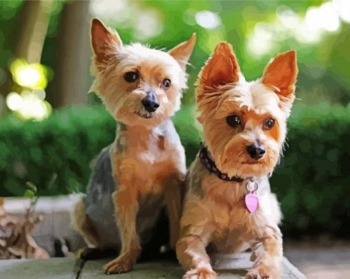 Yorkie Puppies Dogs paint by numbers