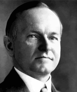 The President Calvin Coolidge paint by numbers