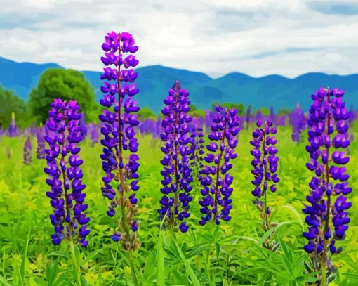 Aesthetic Lupines Field Nature paint by nymbers
