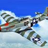 Flying Aesthetic P52 Mustang paint by numbers
