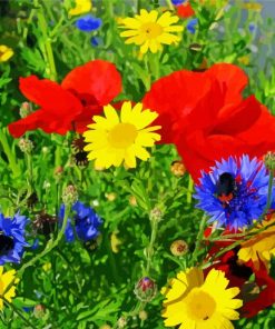 Beautiful Wild Flowers Meadow paint by numbers