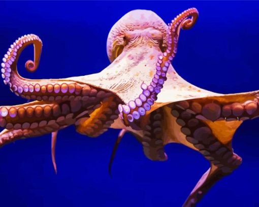 Aesthetic Octopus Animal paint by numbers