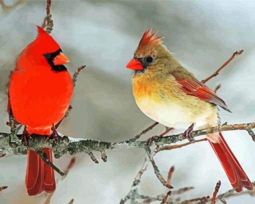Adorable Cardinals Birds In Winter paint by numbers