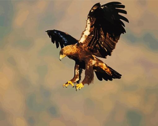 Flying Aquila Eagle paint by numbers