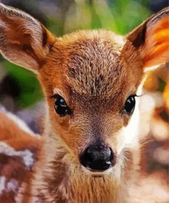 Baby Deer Face paint by numbers
