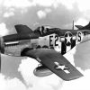 Black And White P52 Mustang paint by numbers