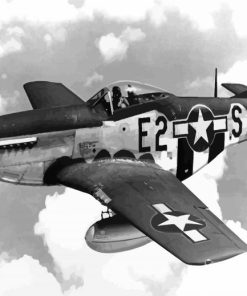 Black And White P52 Mustang paint by numbers