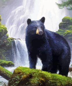 Black Bear And Waterfall paint by numbers