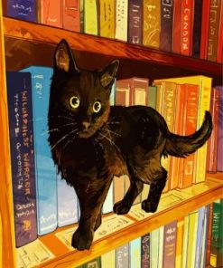 Black Cat In A Book shelf paint by numbers