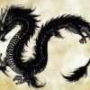 Black Japanese Dragon paint by numbers