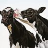 Black And White Cows paint by numbers