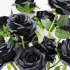 Aesthetic Black Floral Roses paint by numbers