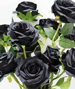 Aesthetic Black Floral Roses paint by numbers