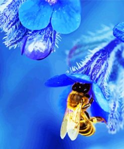Blue Flower With Bee paint by numbers