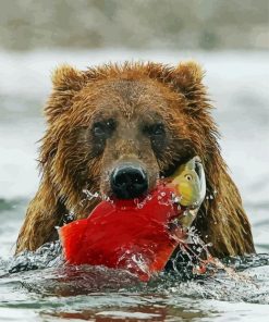 Brown Bear Catching Fish paint by numbers