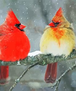 Cardinals Birds In Winter On Branch paint by numbers