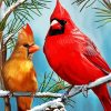 Cardinals Couple In Winter paint by numbers
