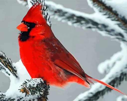 Cardinal In Winter paint by numbers