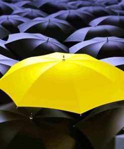 Different Yellow Umbrella paint by numbers