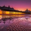 Eastbourne Pier At Sunset paint by numbers